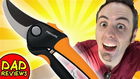 Dude pruner review. Things To Know About Dude pruner review. 